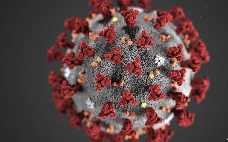 حصيلة فيروس كورونا في العالم..