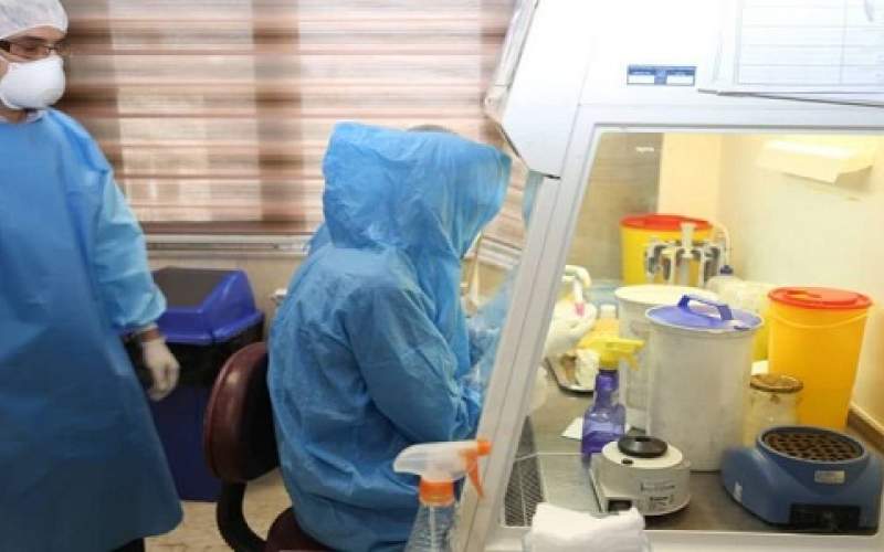 الصحة العالمية تشيد  بتطور قدرات إيران في تشخيص كورونا