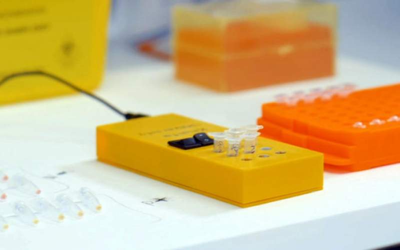 جامعة إماراتية تطور جهازاً محمولاً للكشف عن كورونا بحجم الهاتف الذكي