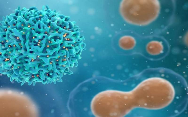 حالات الإصابة بفيروس كورونا في أنحاء العالم تتجاوز 11 مليونا